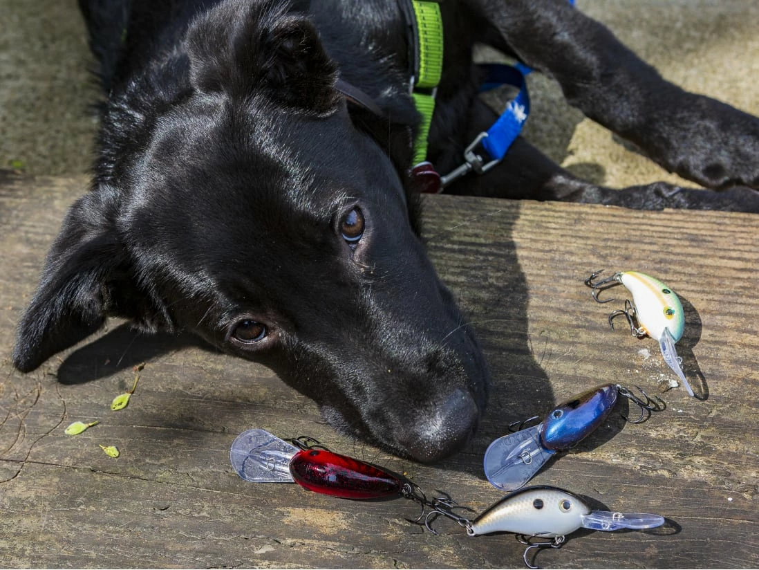 Strike King Pro Model 3XD - Image 2