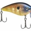 Strike King KVD 2.5 Wake Bait