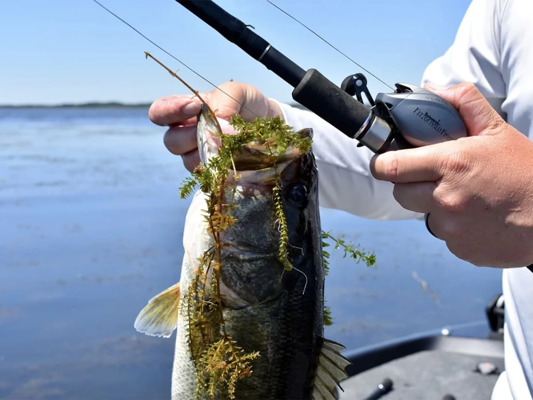 Fitzgerald Fishing VLD 10 Baitcasting Reel - Image 4